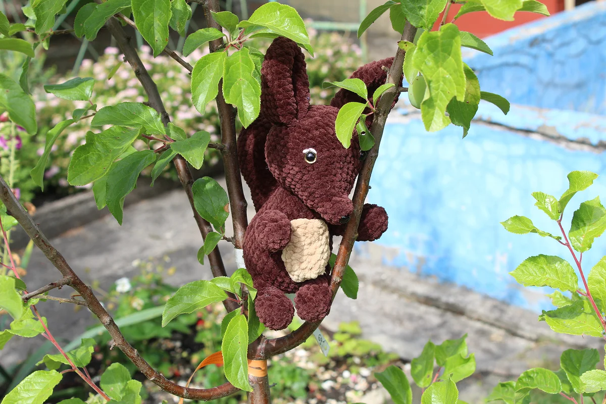 Duża wiewiórka - obrazek 5