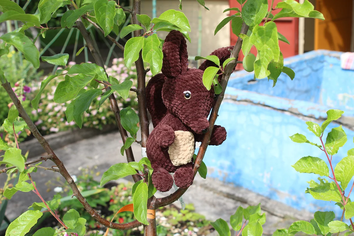 Duża wiewiórka - obrazek 6