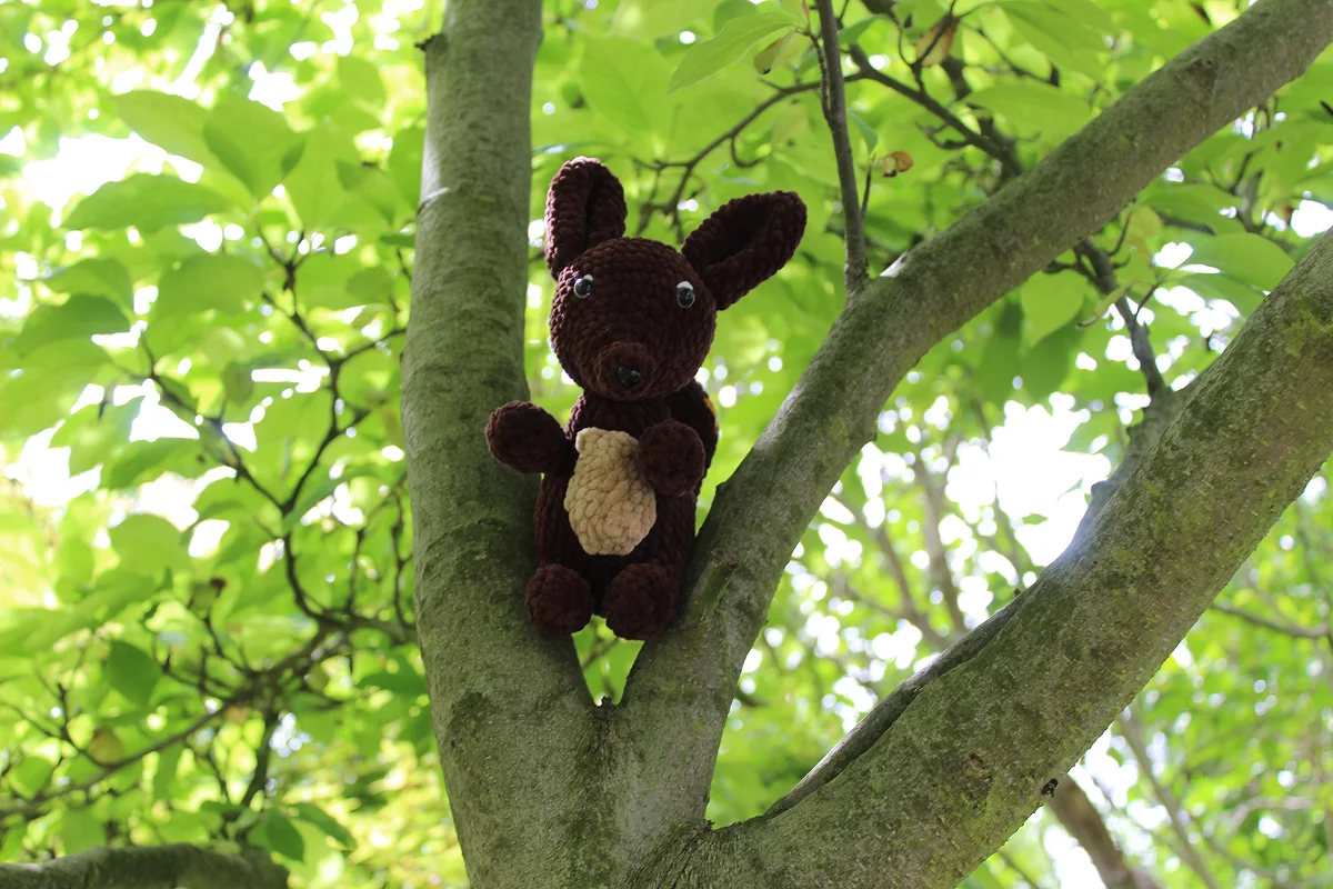 Duża wiewiórka - obrazek 7