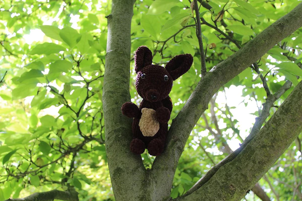 Duża wiewiórka - obrazek 8