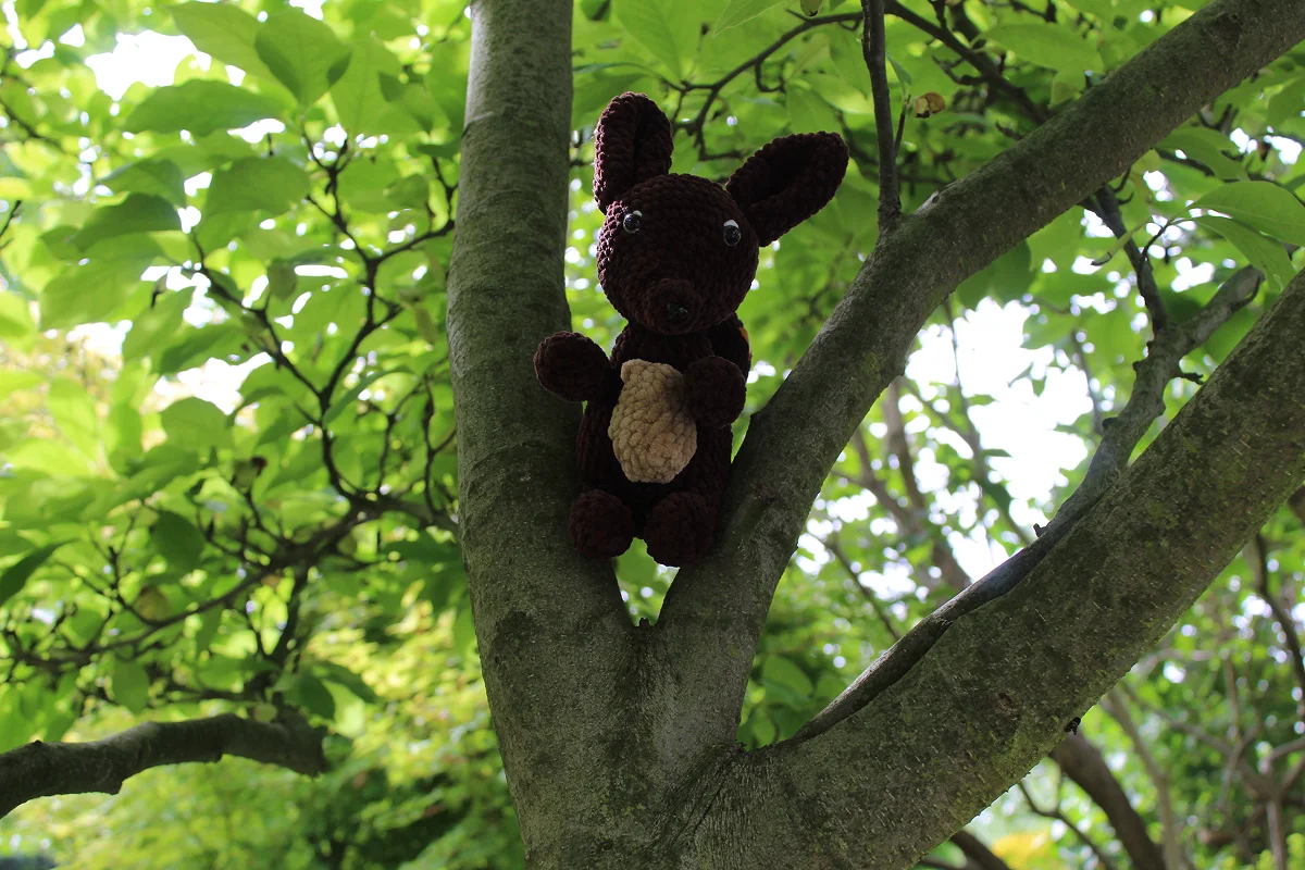 Duża wiewiórka - obrazek 9