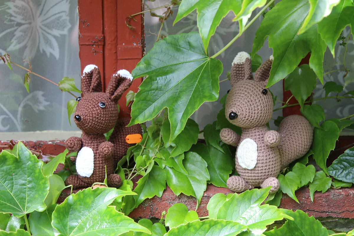 Mała wiewiórka - obrazek 2