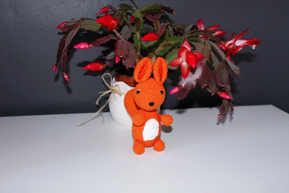 Mała wiewiórka - obrazek 3