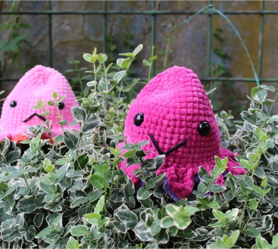 Ośmiornica dwustronna